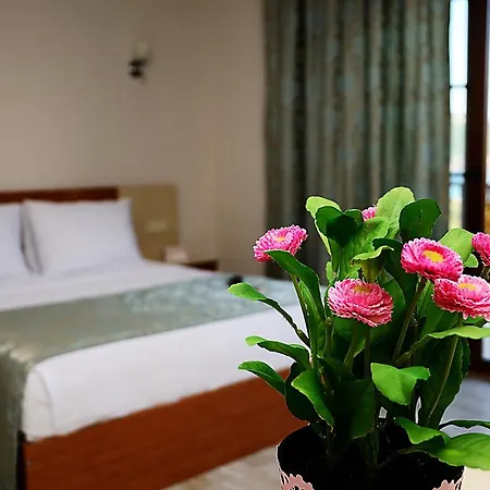 Selimiye Saklibahce Bed & Breakfast *