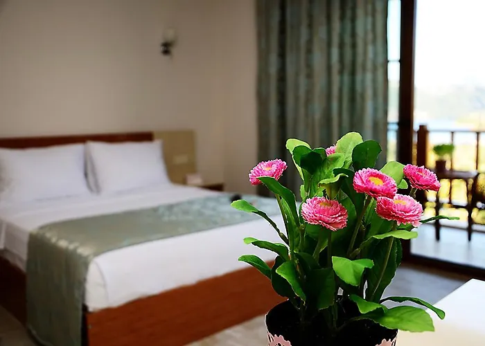 Selimiye Saklibahce Bed and breakfast *